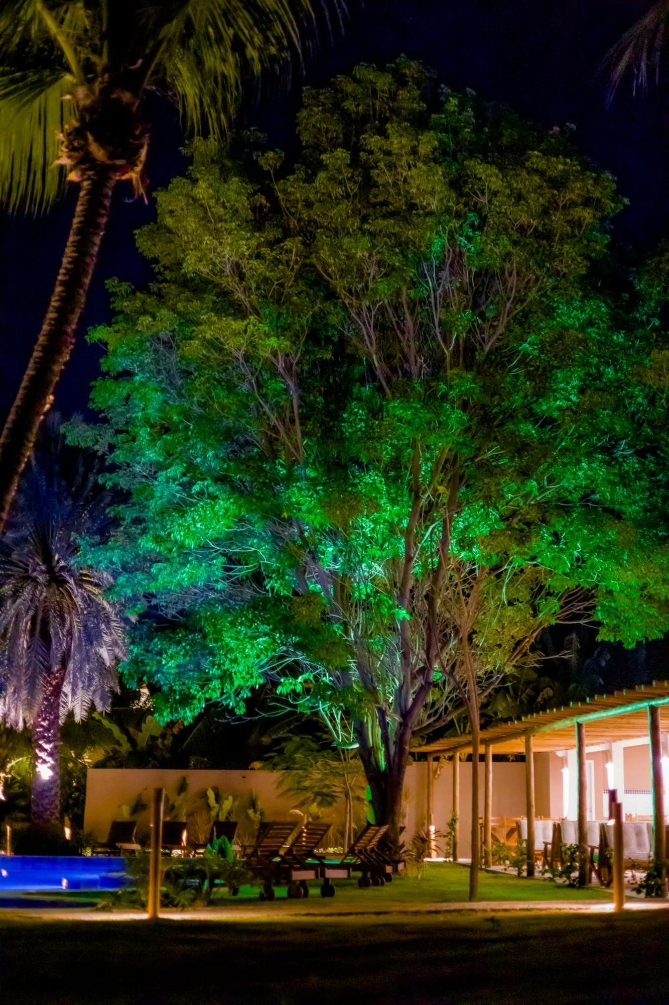 Villa Jaguar פורטים מראה חיצוני תמונה